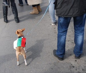 Protest-Sofia-9-030313