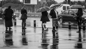 Rainy day 1  Sofia 160914